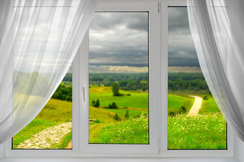 Picture Windows Showcasing Scenic Views